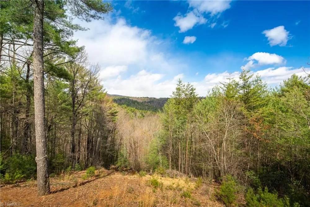 128 Deer Antler Drive Purlear, NC 28665