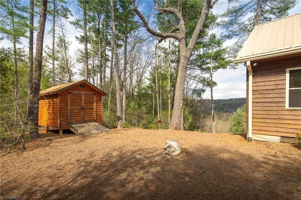 128 Deer Antler Drive Purlear, NC 28665
