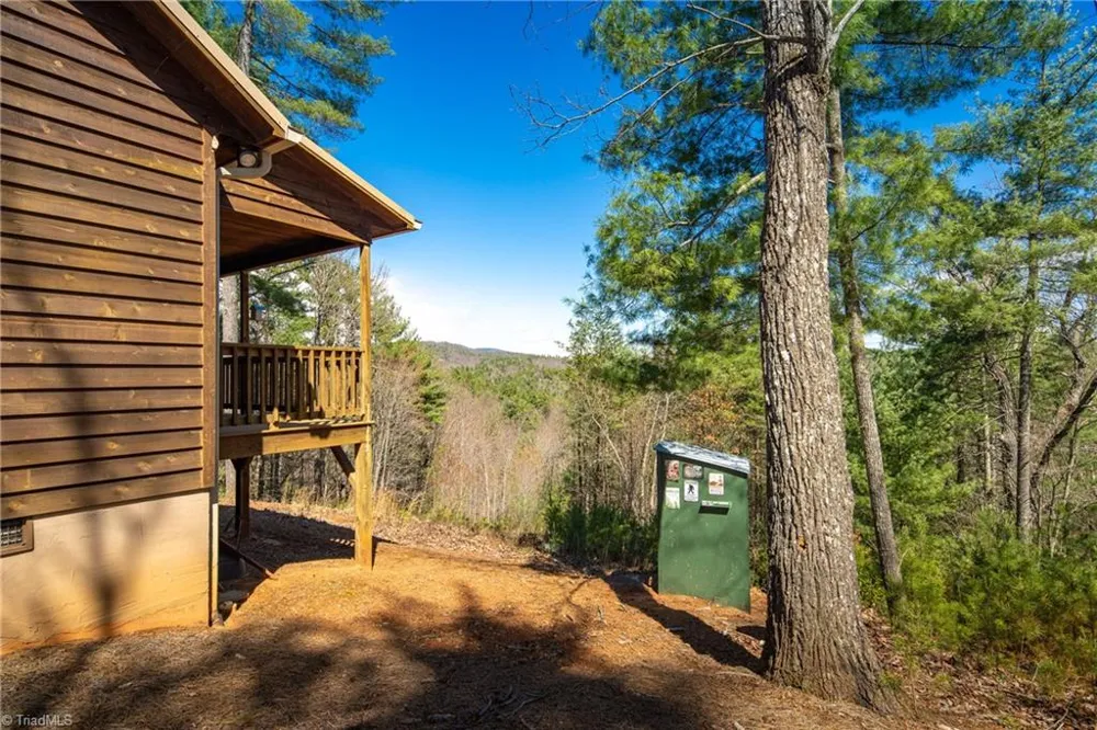 128 Deer Antler Drive Purlear, NC 28665