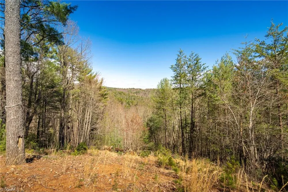 128 Deer Antler Drive Purlear, NC 28665