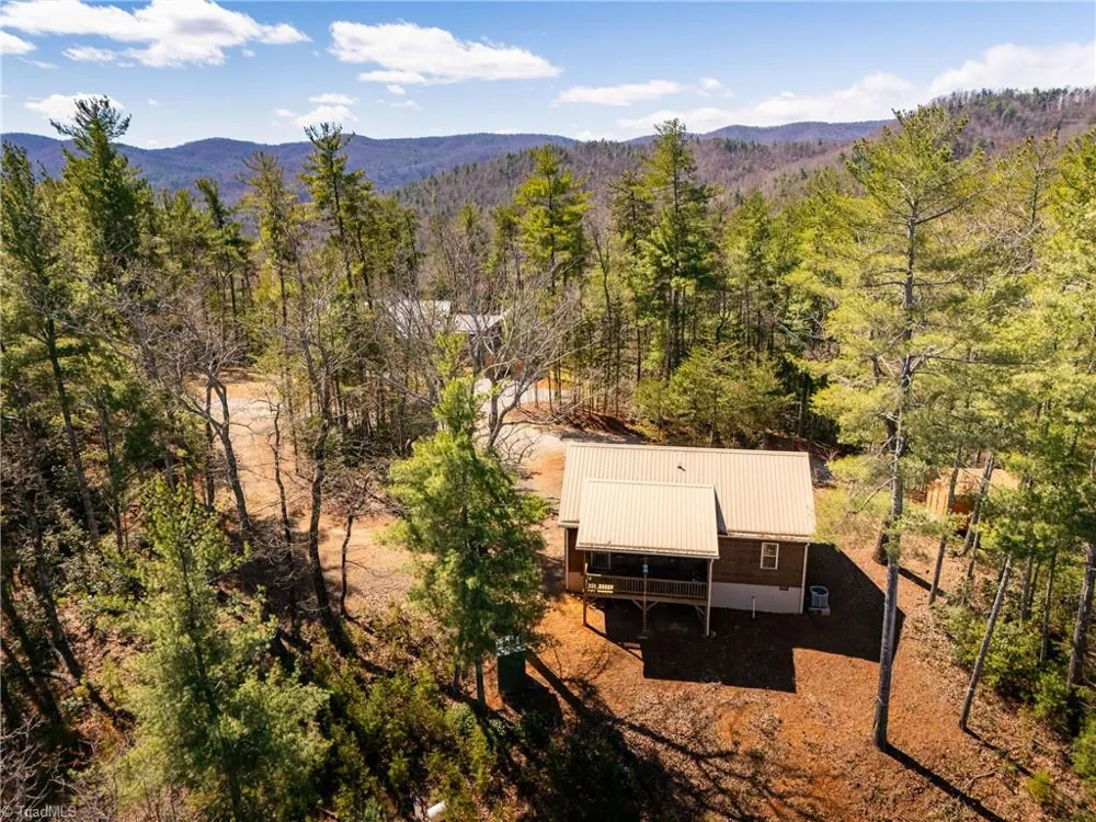 128 Deer Antler Drive Purlear, NC 28665