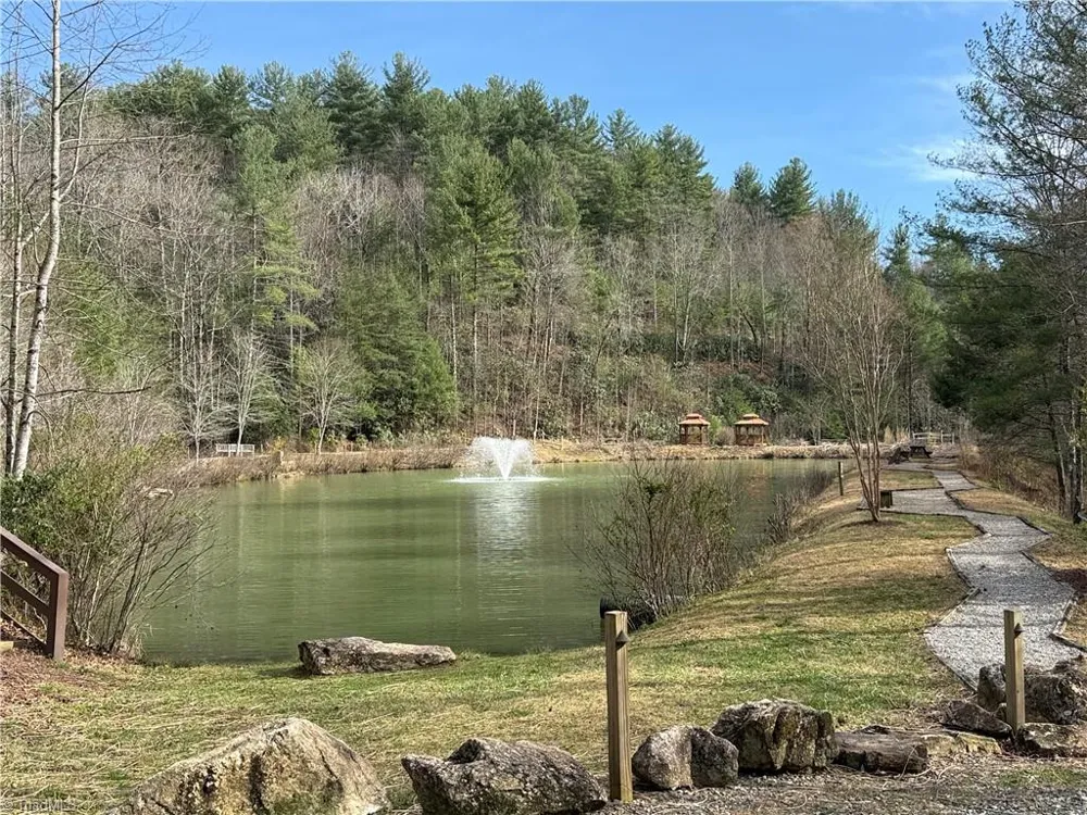 128 Deer Antler Drive Purlear, NC 28665