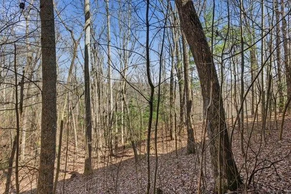 318 Wilmot Fabus Mountain Road Blairsville, GA 30512
