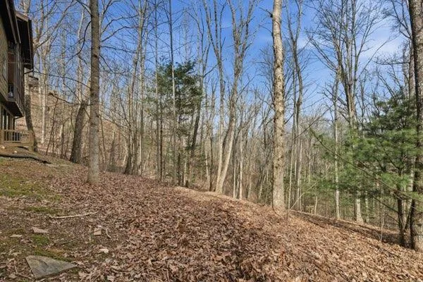 318 Wilmot Fabus Mountain Road Blairsville, GA 30512