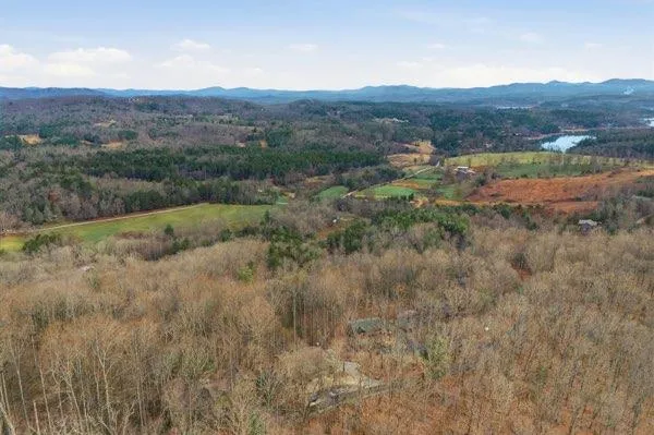 318 Wilmot Fabus Mountain Road Blairsville, GA 30512