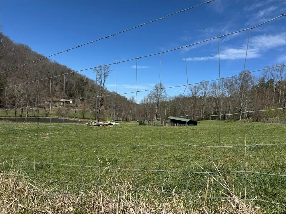 137 Blue Spruce Drive Blairsville, GA 30512