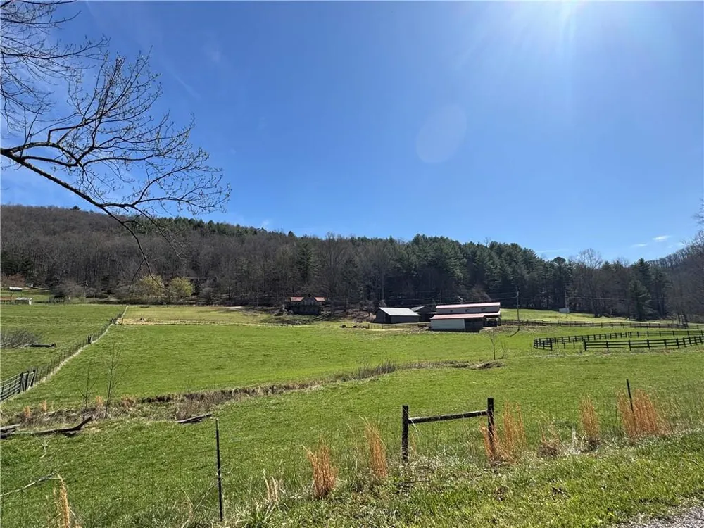 137 Blue Spruce Drive Blairsville, GA 30512