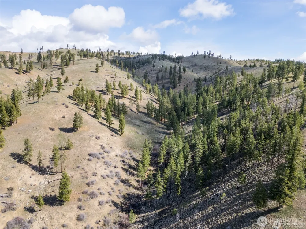 12 Mile Entiat River Road Entiat, WA 98822