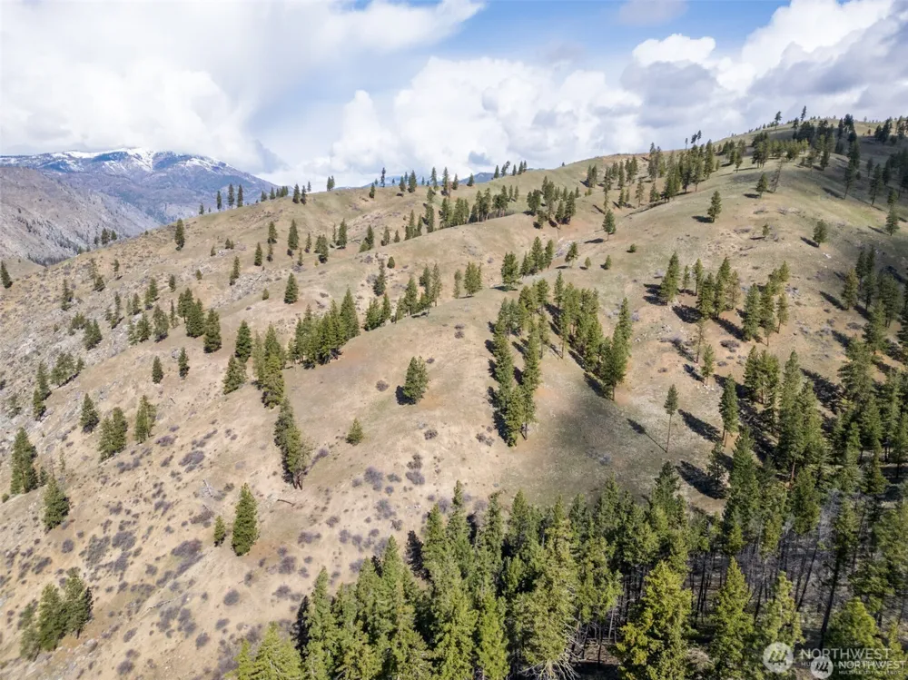 12 Mile Entiat River Road Entiat, WA 98822