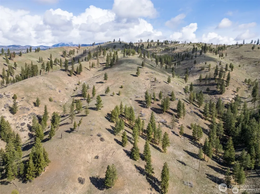 12 Mile Entiat River Road Entiat, WA 98822