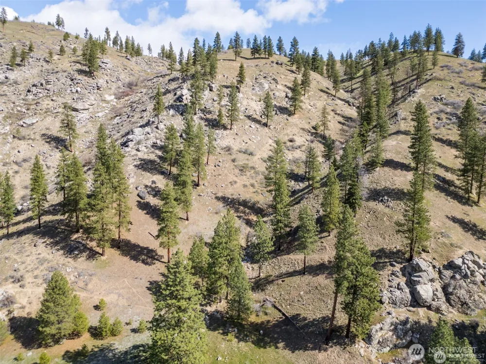 12 Mile Entiat River Road Entiat, WA 98822