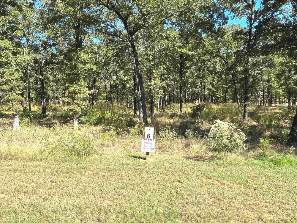 6924 Lakeshore Way Log Cabin, TX 75148