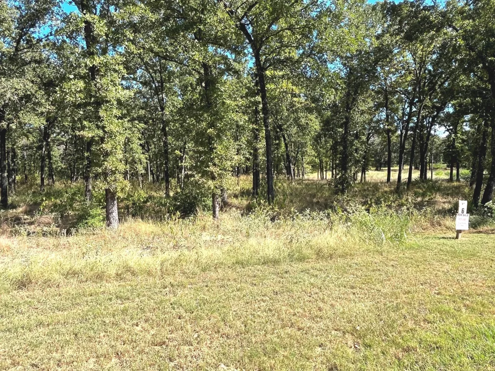 6924 Lakeshore Way Log Cabin, TX 75148