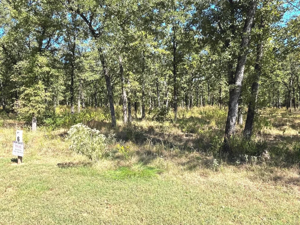 6924 Lakeshore Way Log Cabin, TX 75148
