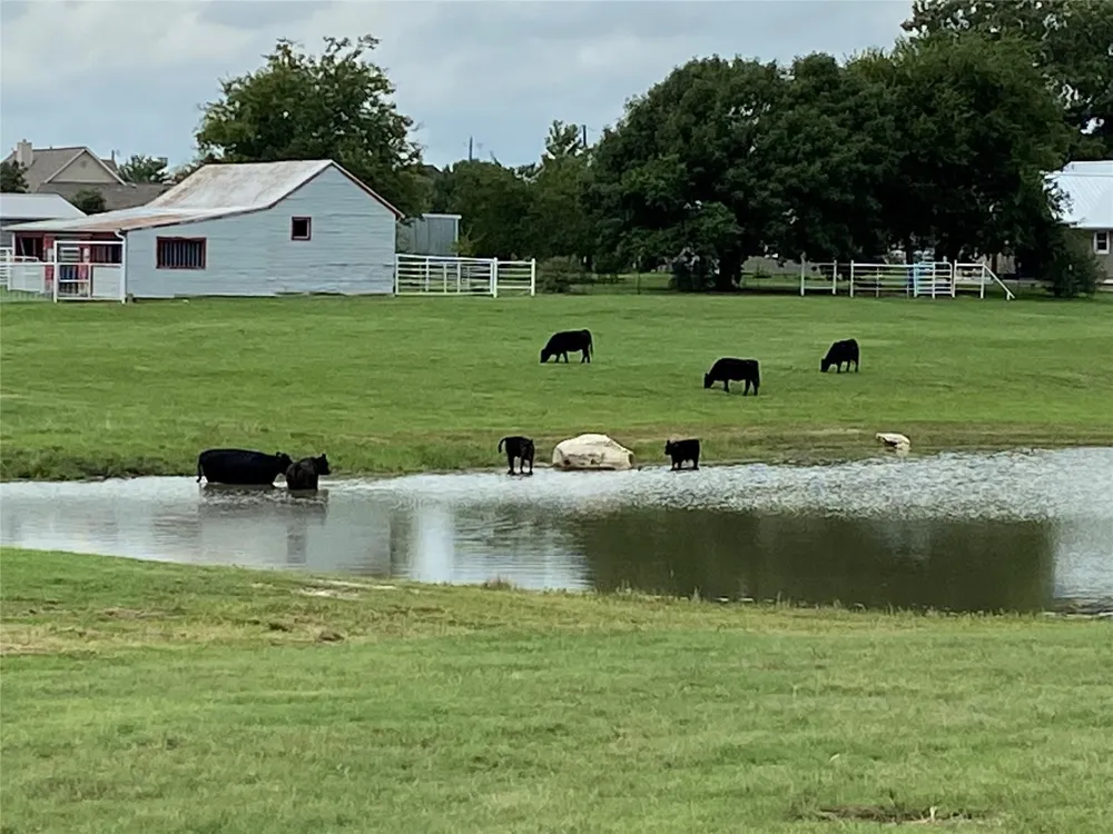 2196 Bledsoe Road Gunter, TX 75058