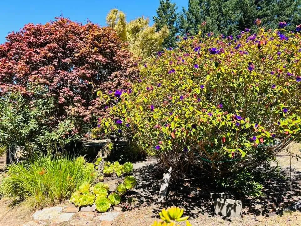 520 Redwood Road Whitethorn, CA 95589
