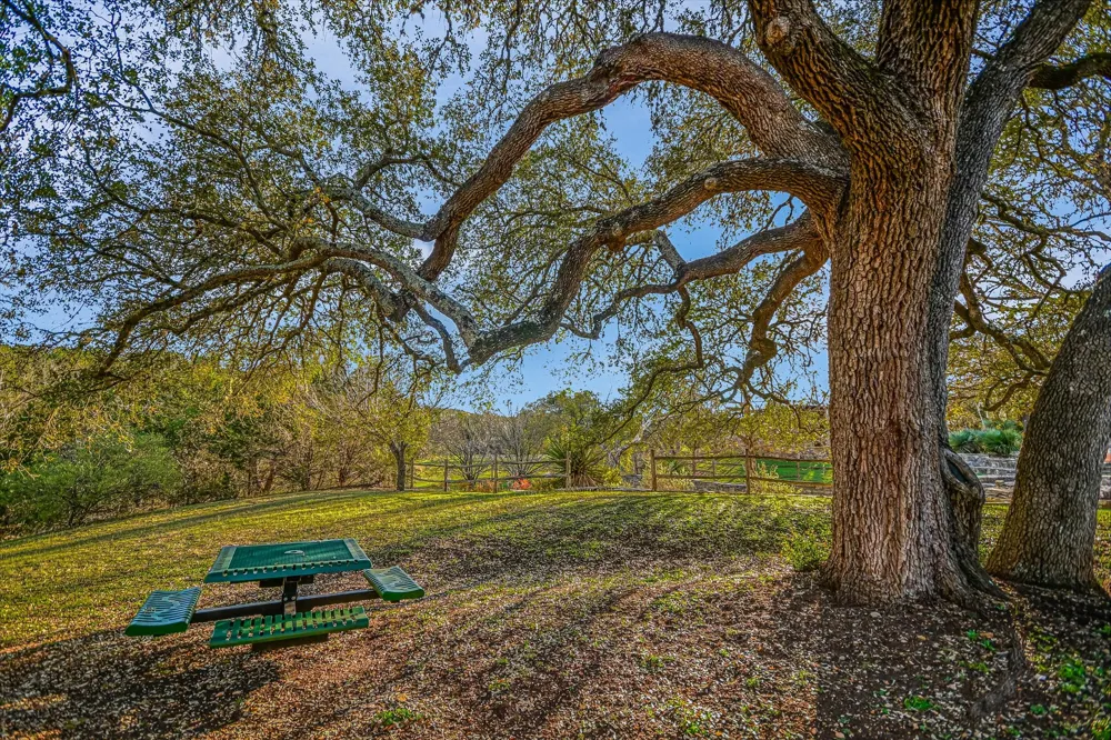 250 BROWN SADDLE Cove Driftwood, TX 78619