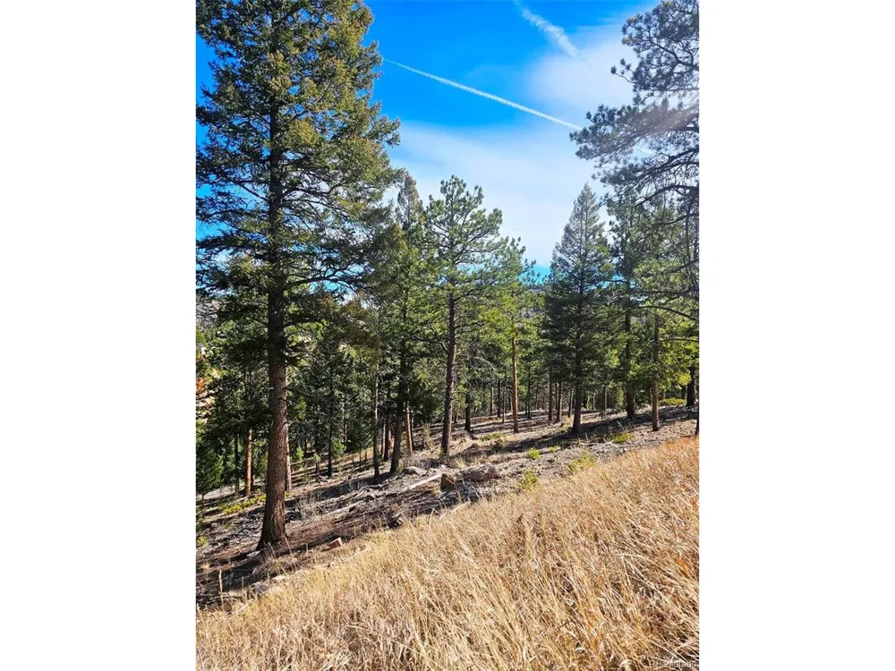 14794 Wetterhorn Peak Trail Pine, CO 80470