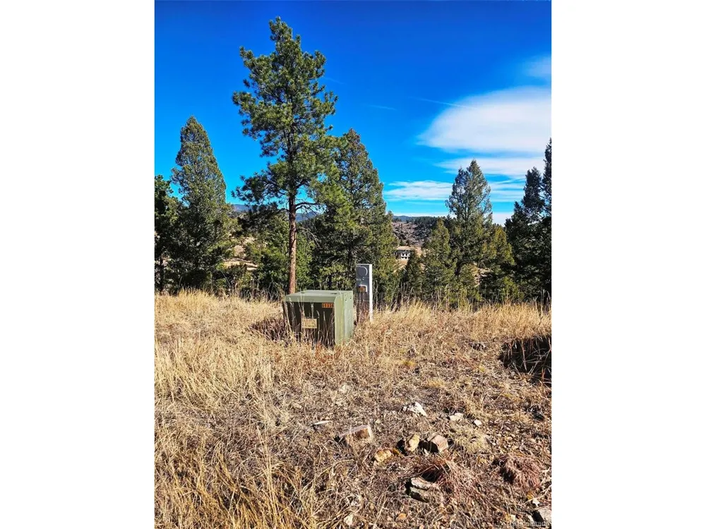 14794 Wetterhorn Peak Trail Pine, CO 80470