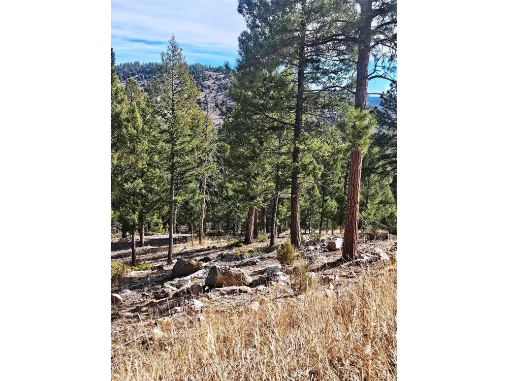 14794 Wetterhorn Peak Trail Pine, CO 80470