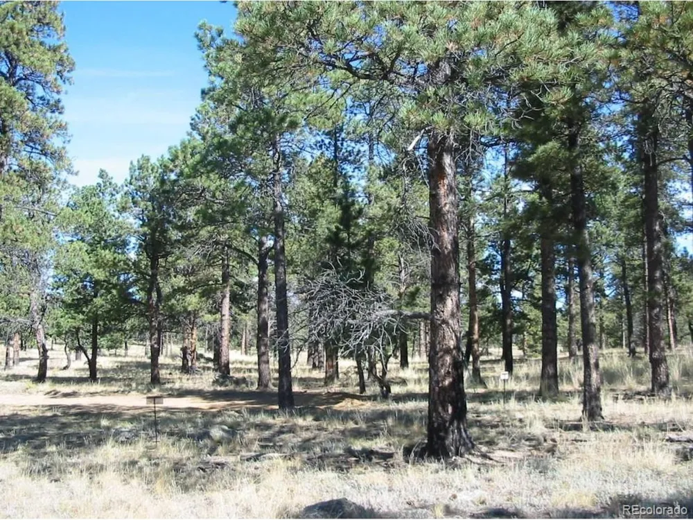 14794 Wetterhorn Peak Trail Pine, CO 80470