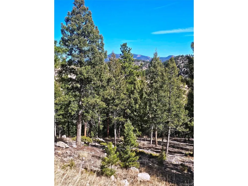 14794 Wetterhorn Peak Trail Pine, CO 80470