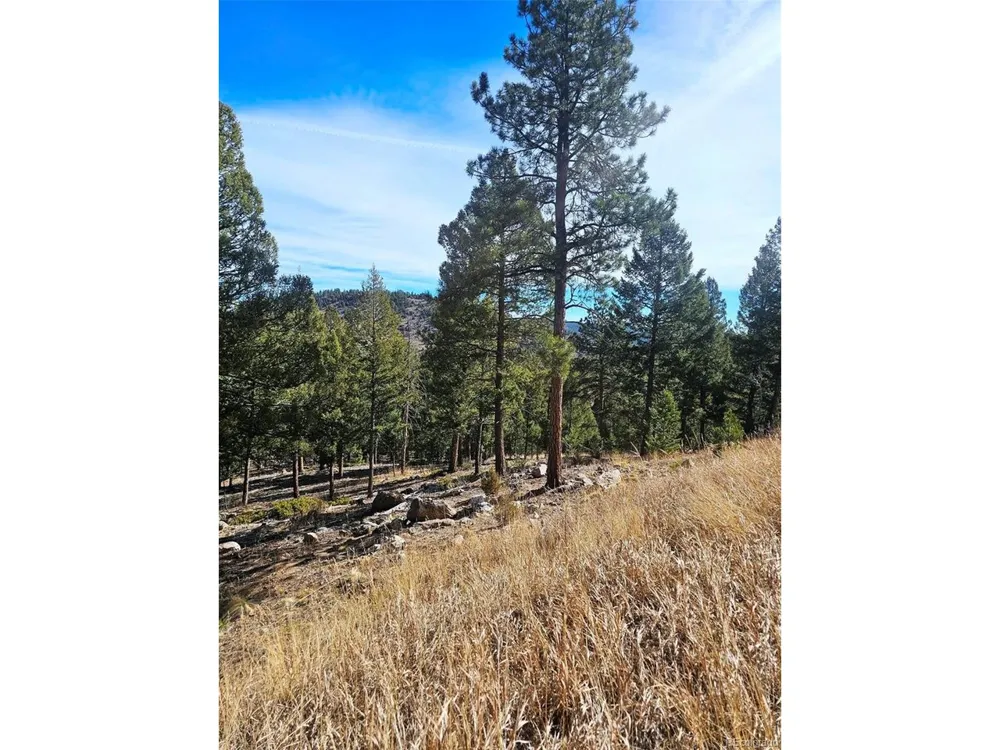 14794 Wetterhorn Peak Trail Pine, CO 80470