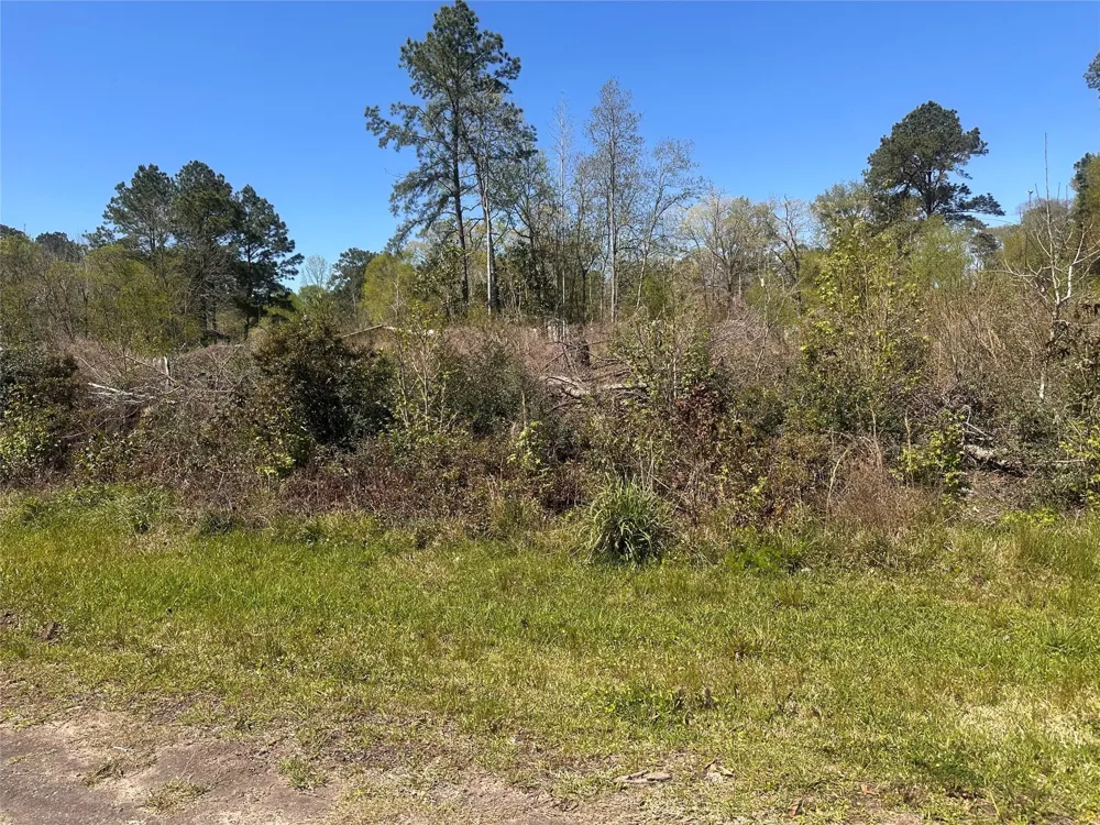 Dottie Lane Shepherd, TX 77371