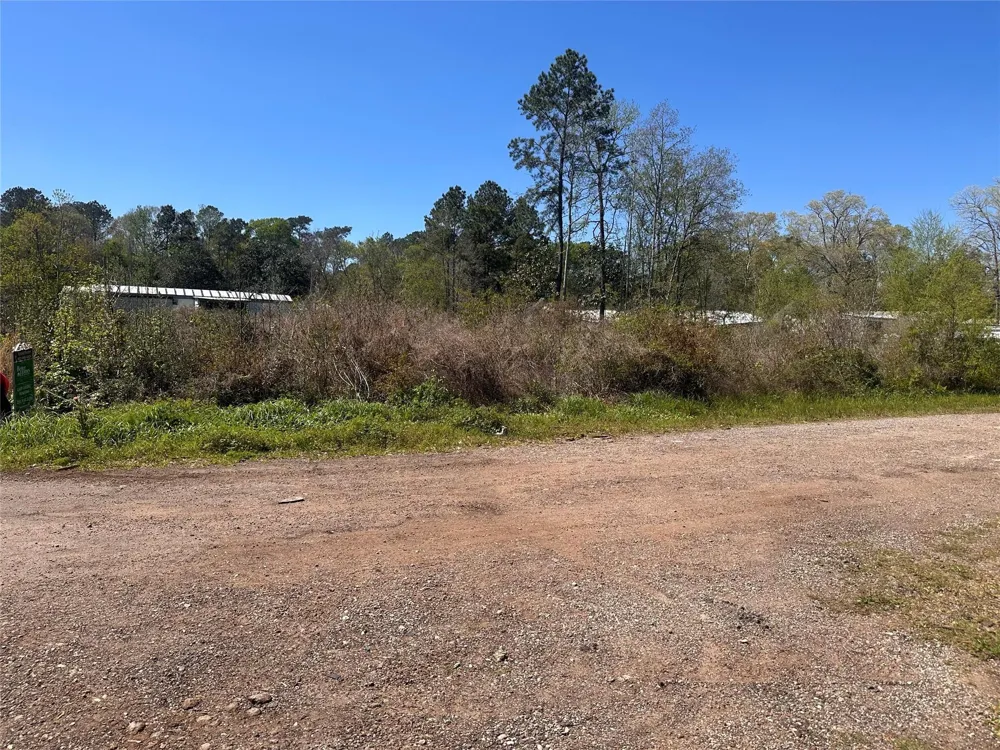 Dottie Lane Shepherd, TX 77371