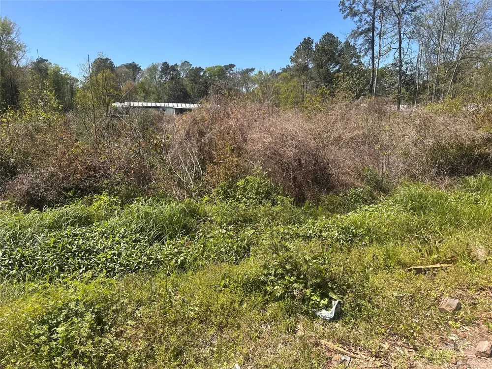 Dottie Lane Shepherd, TX 77371