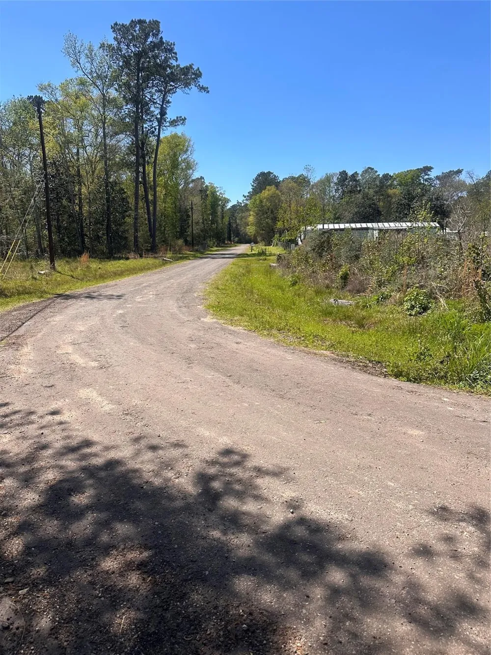 Dottie Lane Shepherd, TX 77371