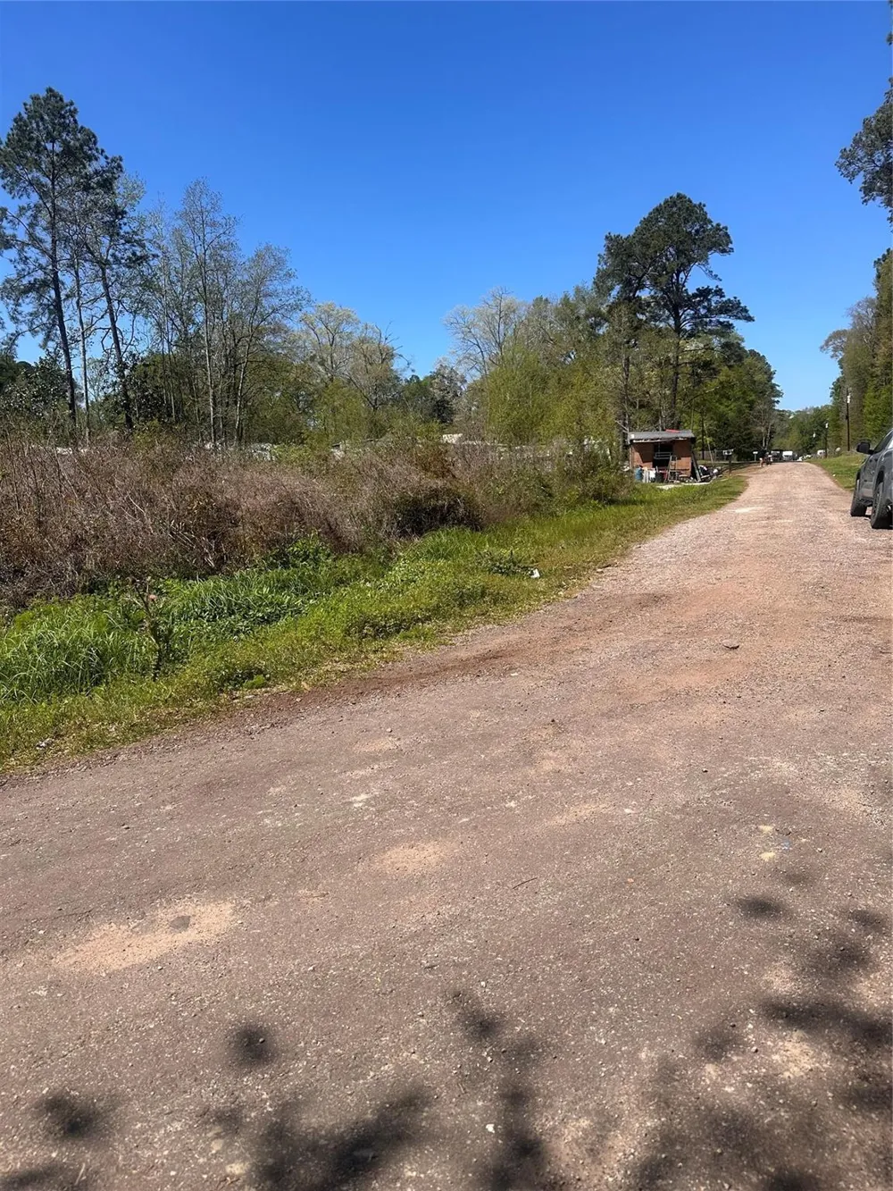 Dottie Lane Shepherd, TX 77371