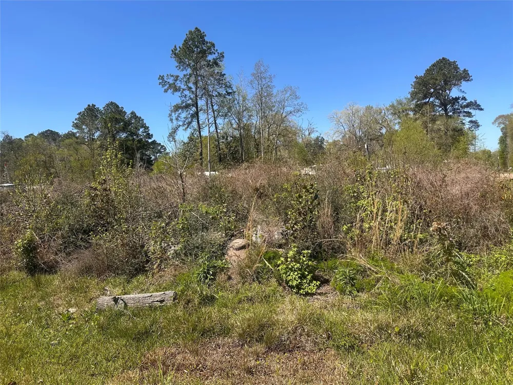 Dottie Lane Shepherd, TX 77371