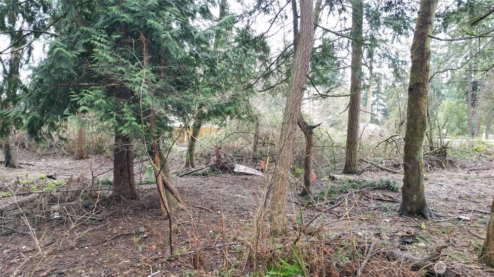 1111 Enchanted Pkwy S Federal Way, WA 98003