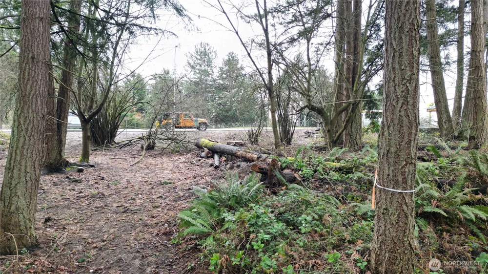 1111 Enchanted Pkwy S Federal Way, WA 98003