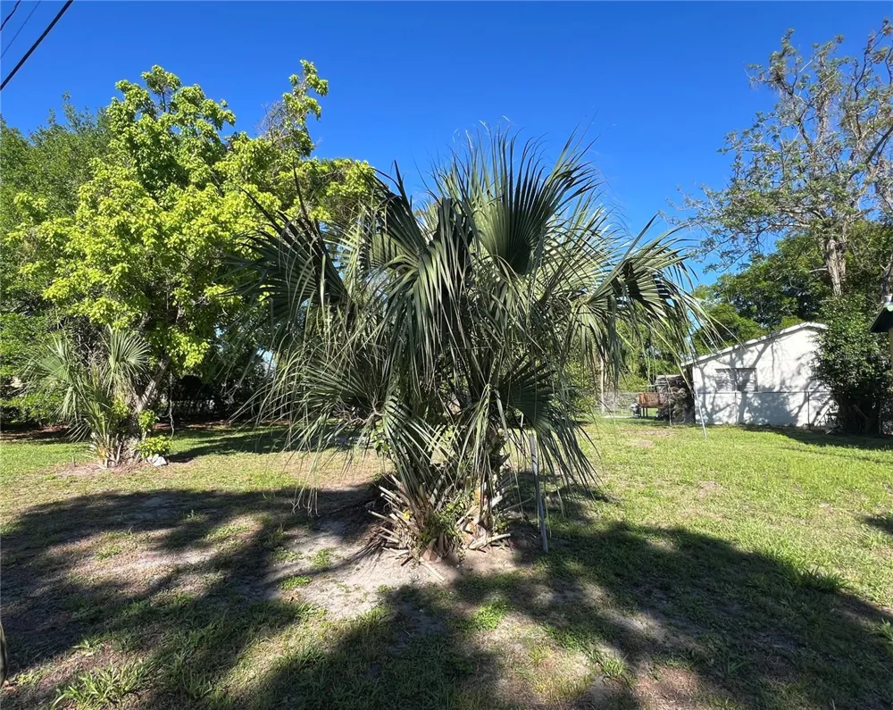 10105 16 STREET Tampa, FL 33612