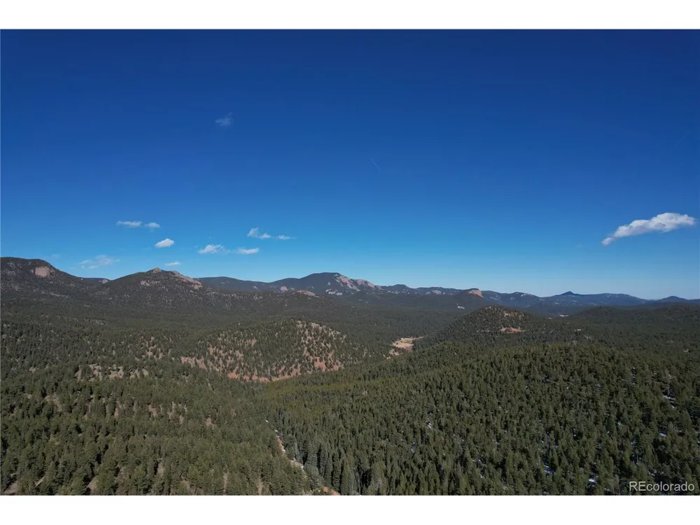 927 Forest Drive Bailey, CO 80421