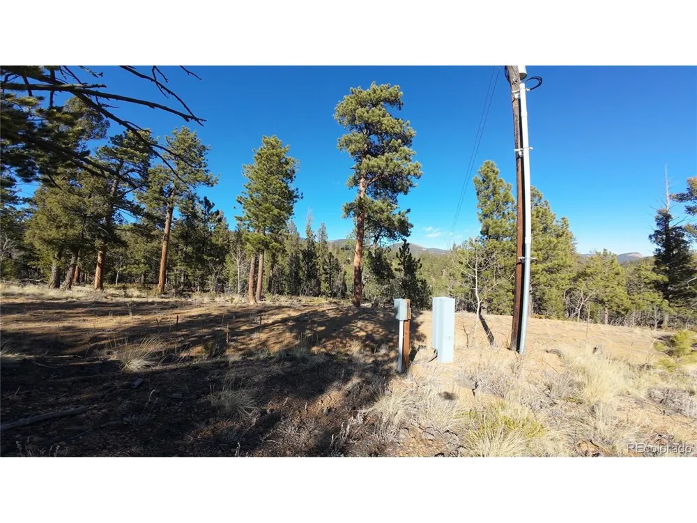 927 Forest Drive Bailey, CO 80421