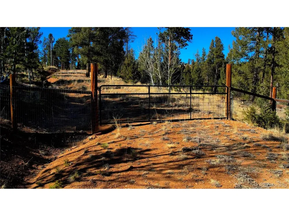 927 Forest Drive Bailey, CO 80421