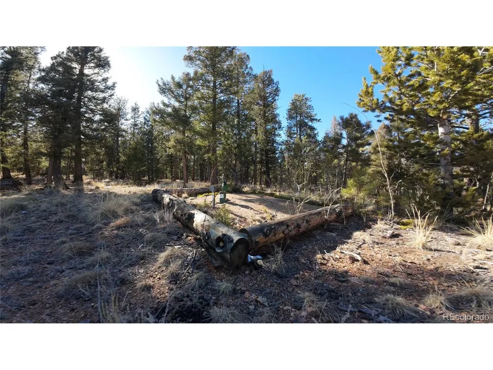 927 Forest Drive Bailey, CO 80421