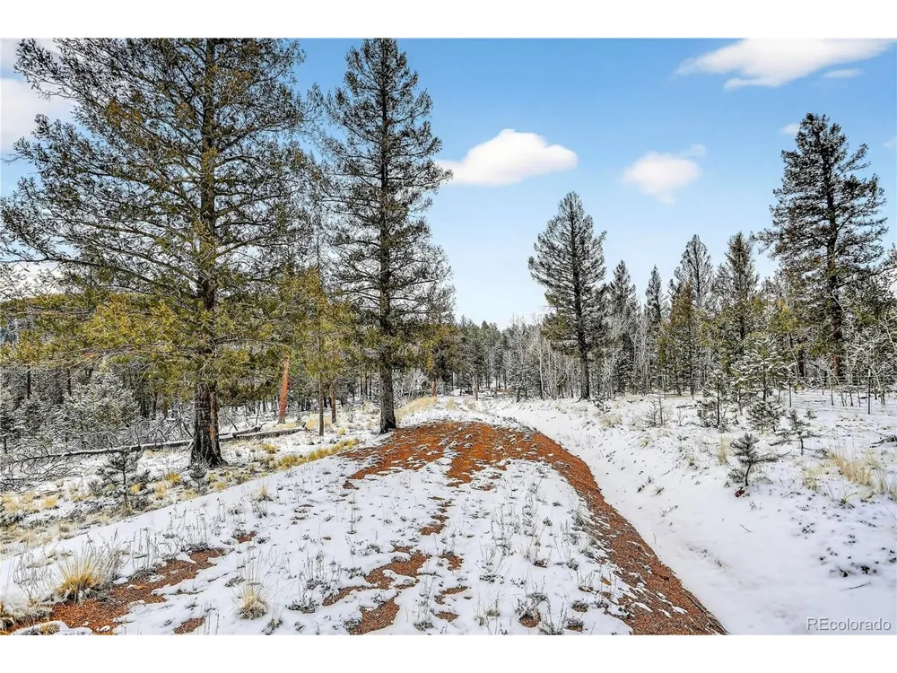 927 Forest Drive Bailey, CO 80421