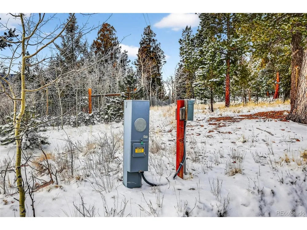 927 Forest Drive Bailey, CO 80421