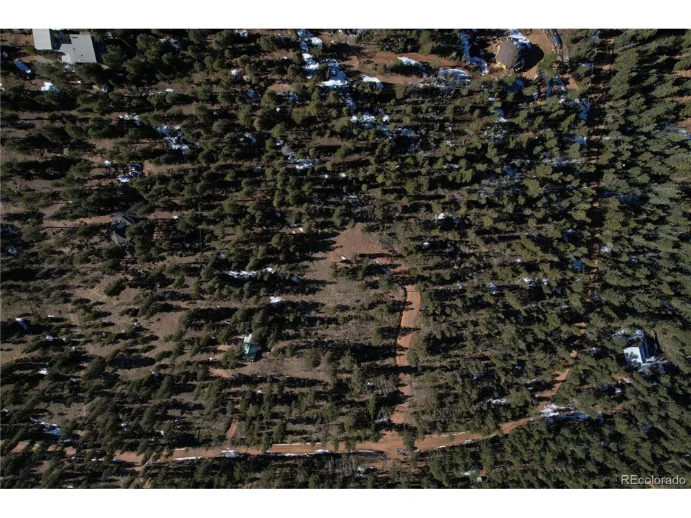 927 Forest Drive Bailey, CO 80421