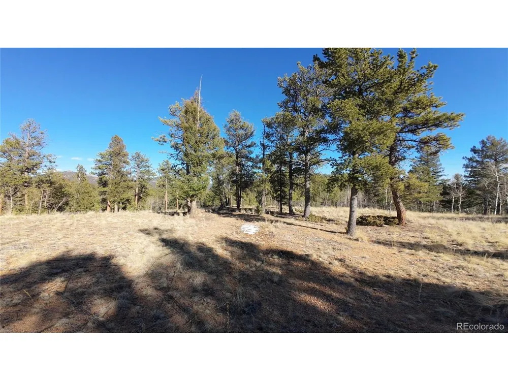 927 Forest Drive Bailey, CO 80421