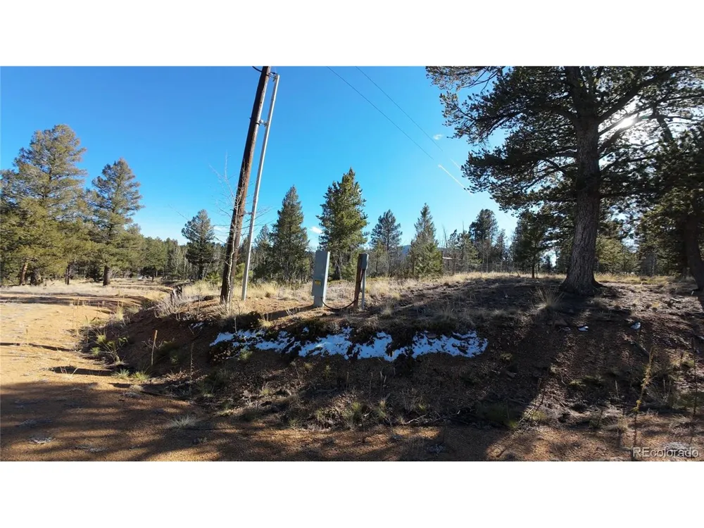 927 Forest Drive Bailey, CO 80421