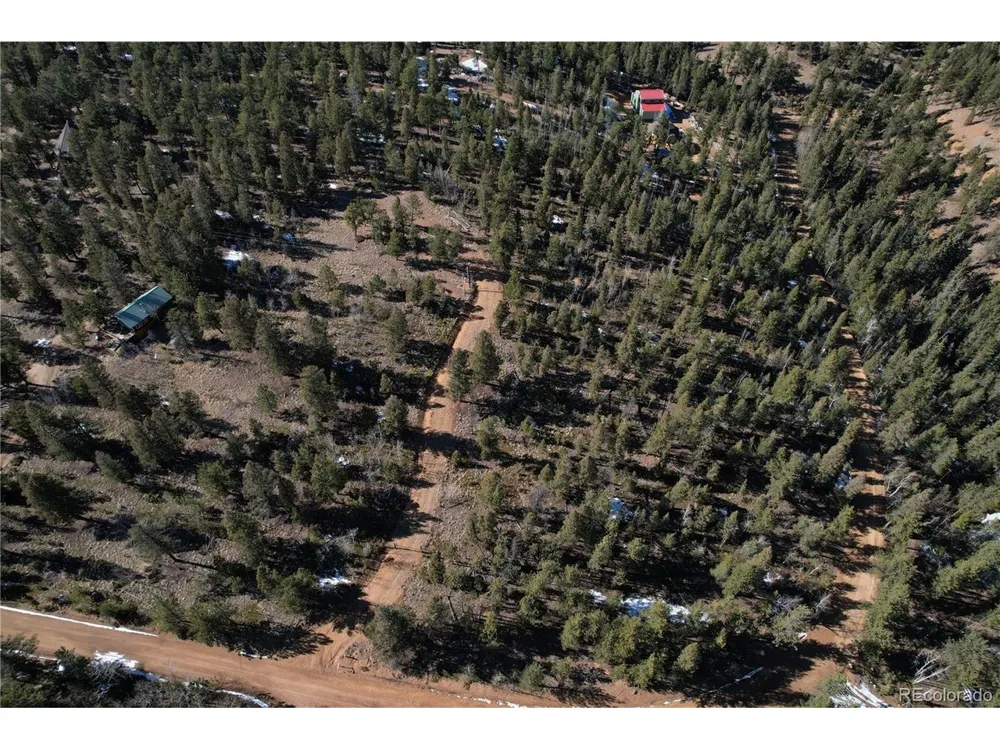 927 Forest Drive Bailey, CO 80421