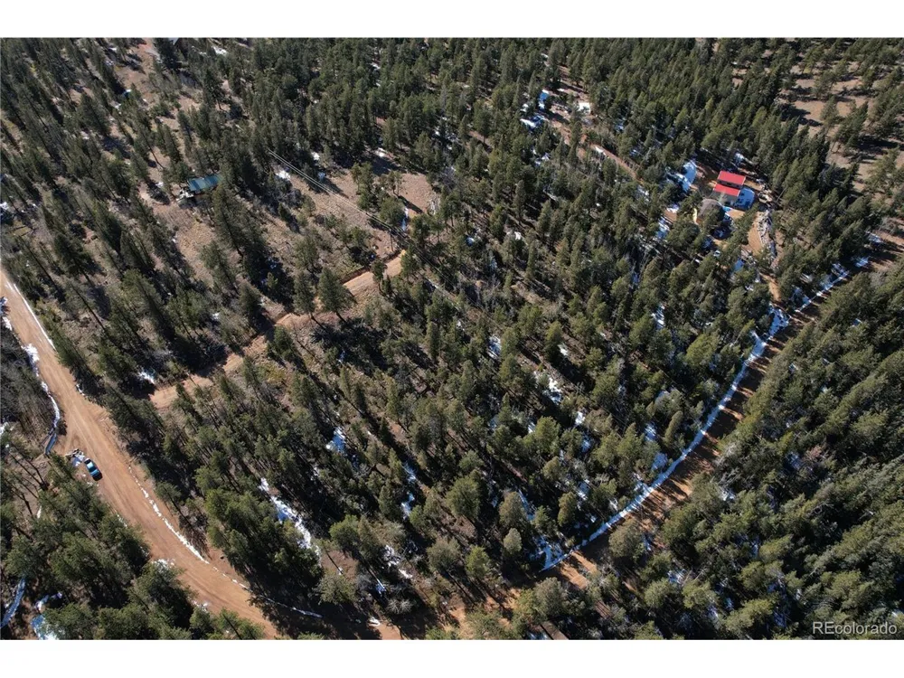 927 Forest Drive Bailey, CO 80421