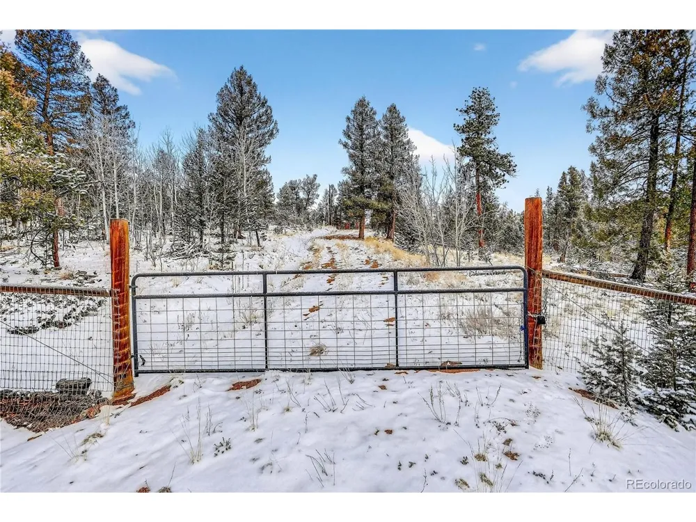 927 Forest Drive Bailey, CO 80421