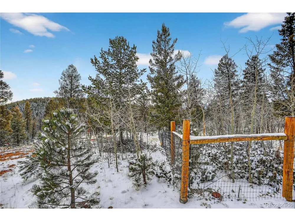 927 Forest Drive Bailey, CO 80421