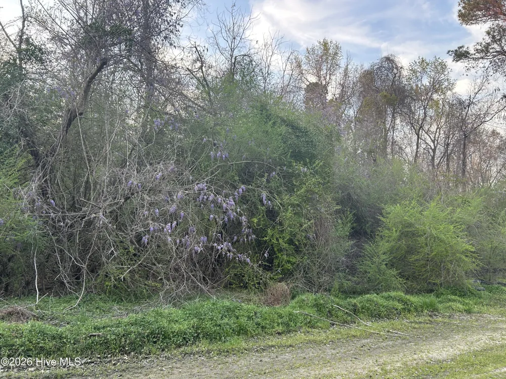 351 Burgaw Creek Loop Road Burgaw, NC 28425